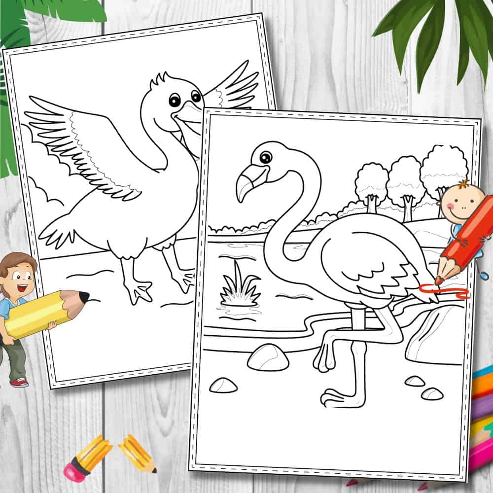 Free Printable Birds Coloring Pages
