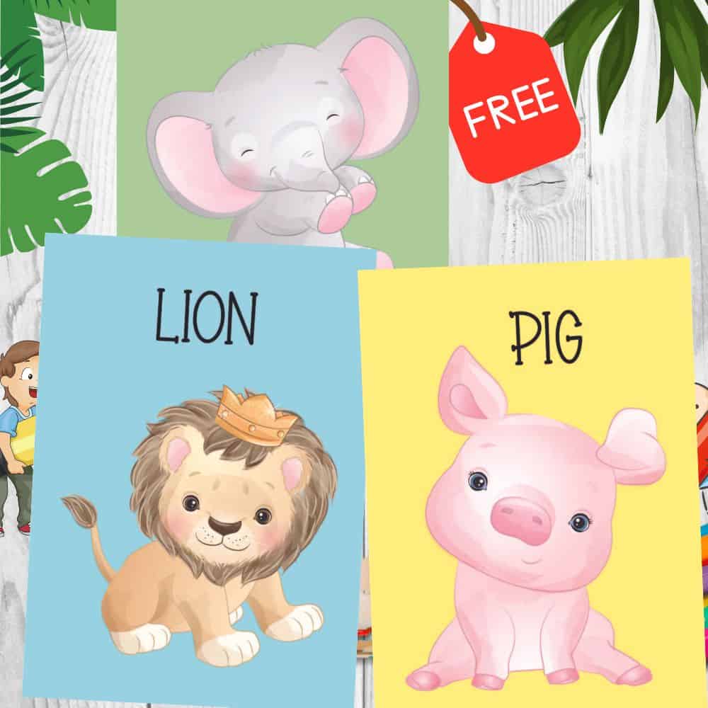 Cute Animal Flashcards For Kids