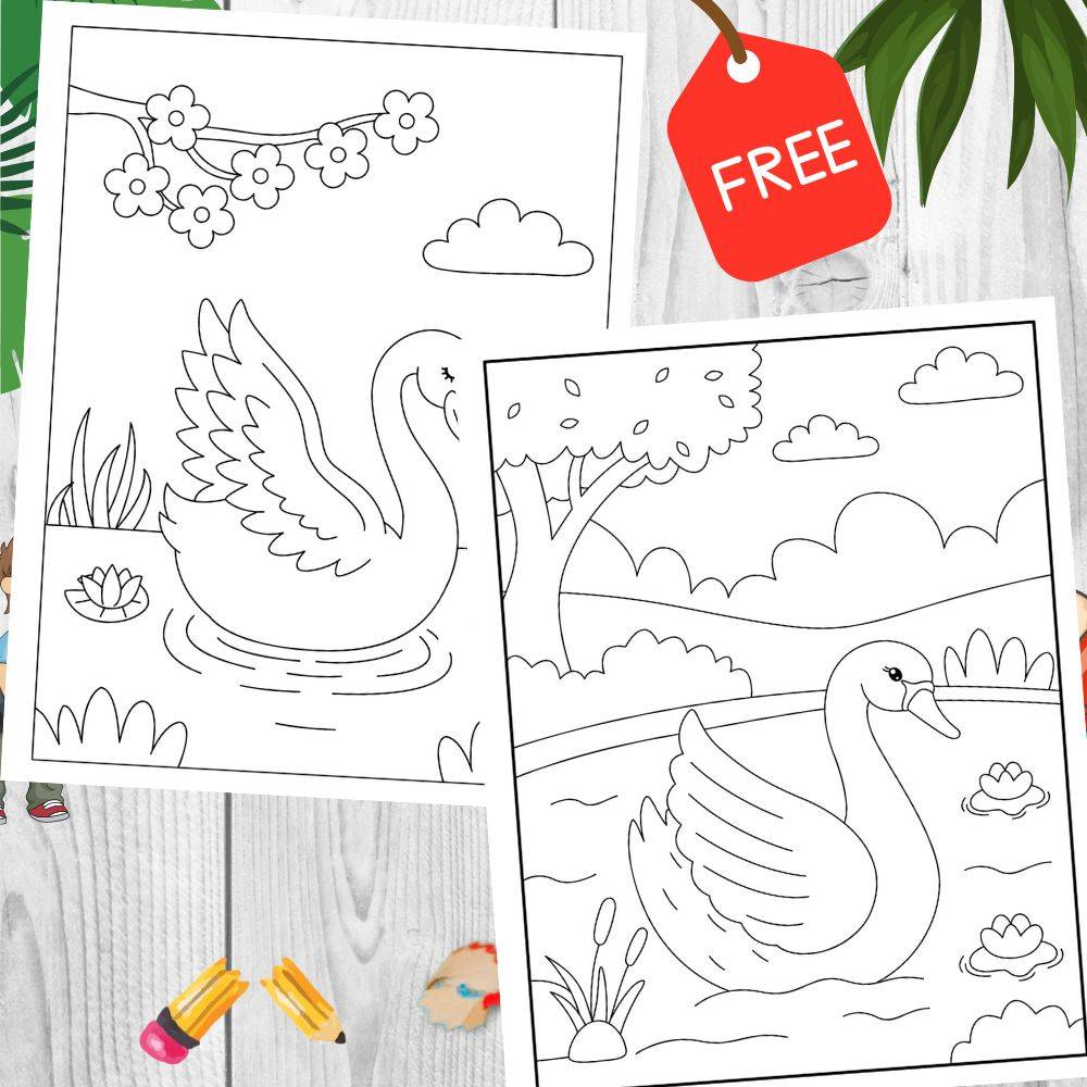 Swan Coloring Pages For Kids